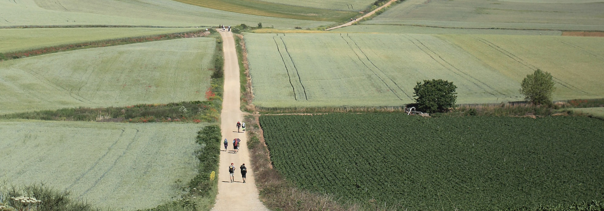 camino de santiago