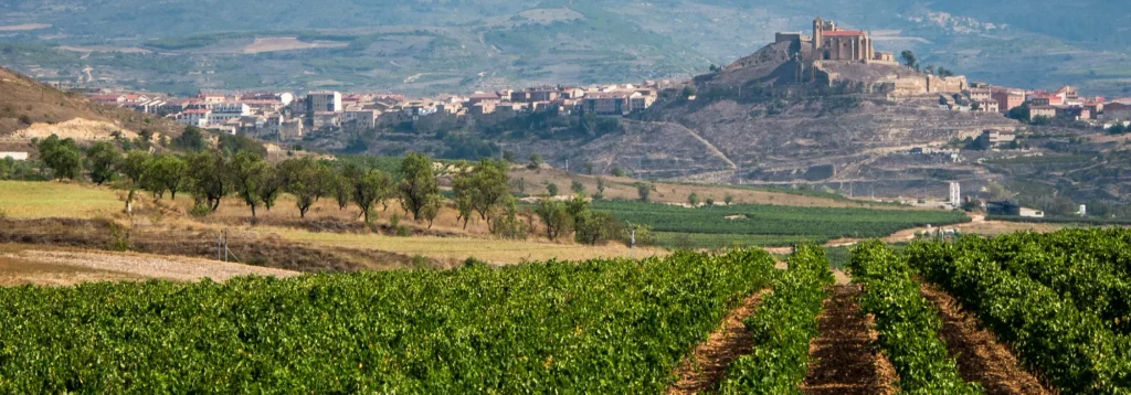 rioja wine tours vineyard